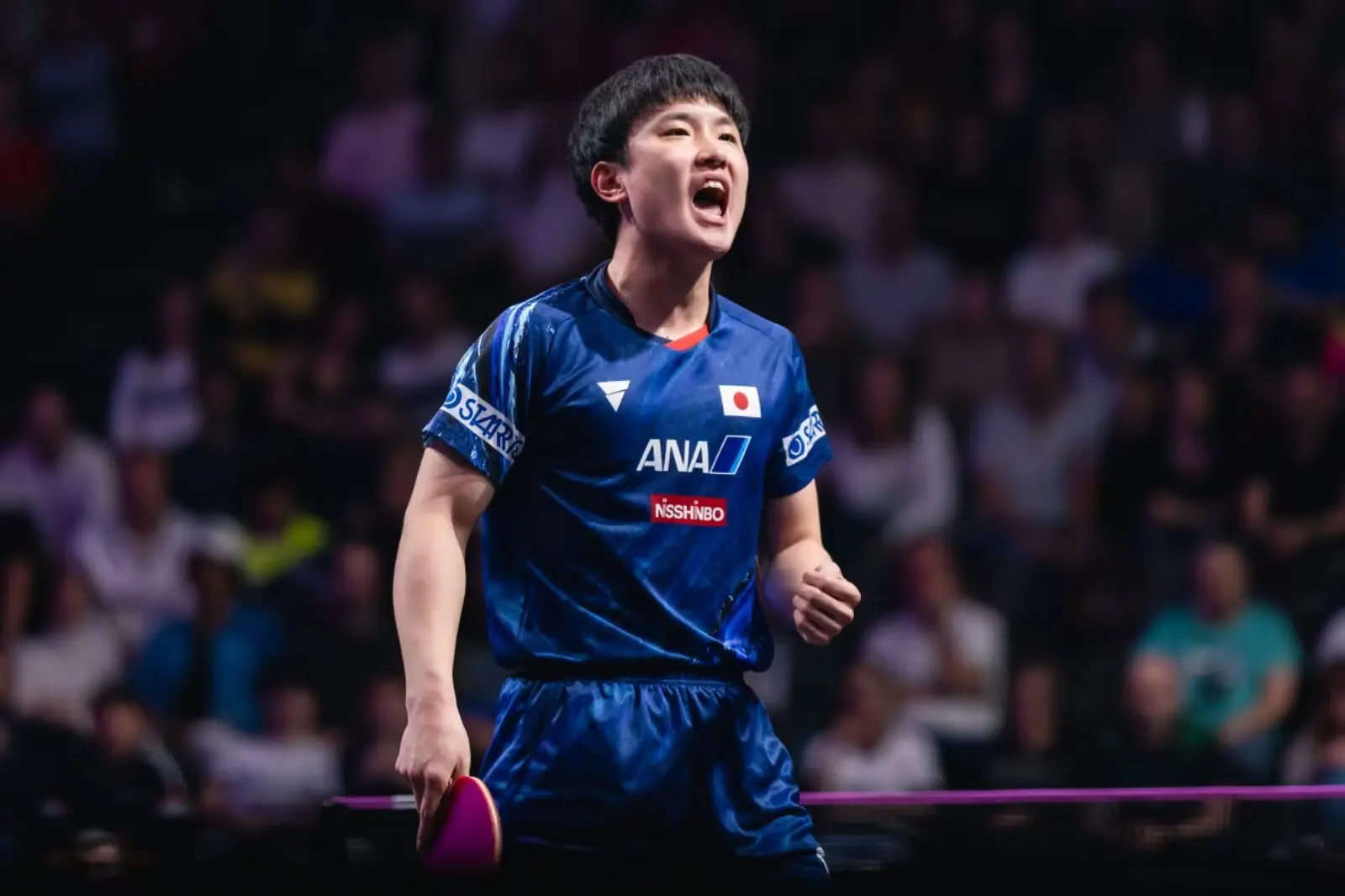 div, 挑战赛马斯, 诗栋在