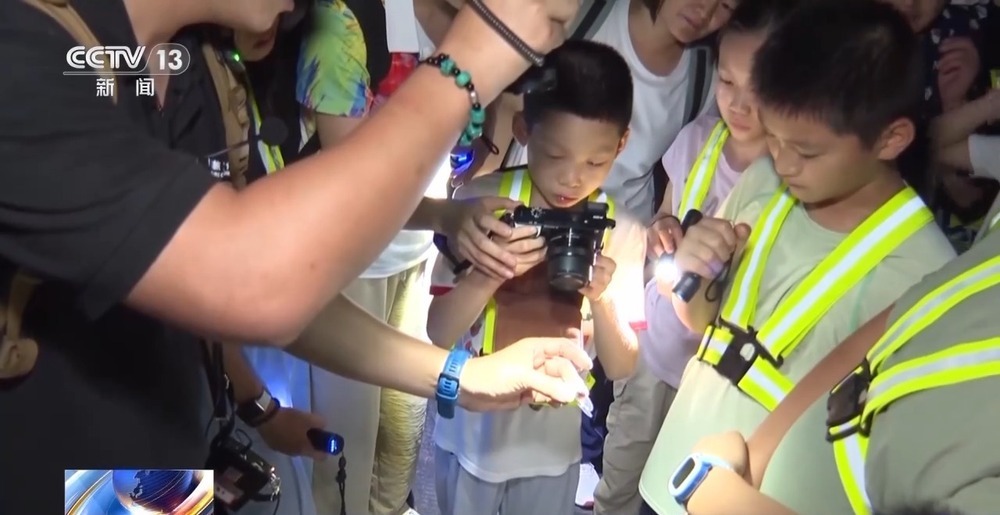 化简史, KgA, 最近