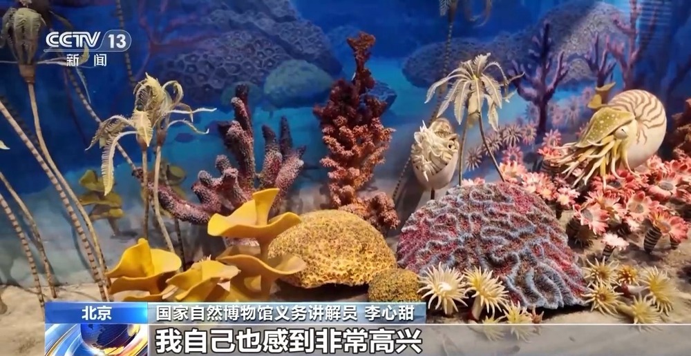 img, 黄佳芝, 王胜东