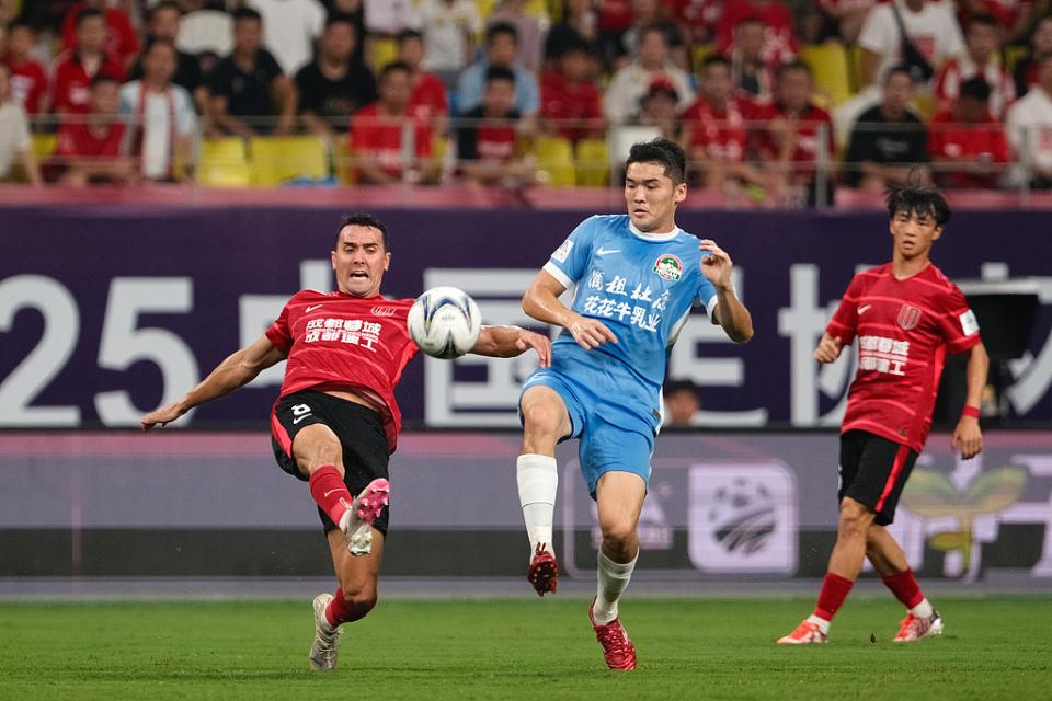 杨明洋, dw
