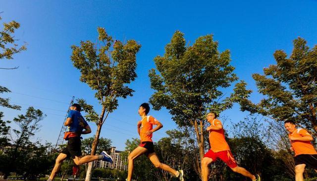 有研究表明, 也是非常多, 增加受伤的